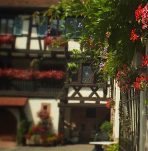 Our cottages in Eguisheim